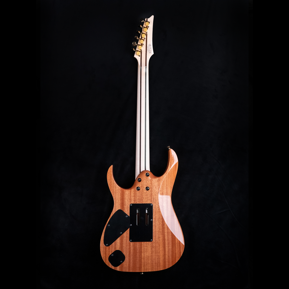 Ibanez Limited Edition 50th Anniversary j.Custom RGRAMG50TH RBB Electric Guitar in Blackwood
