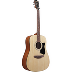 Ibanez V Series V40 Dreadnought Acoustic Guitar - Open Pore Natural