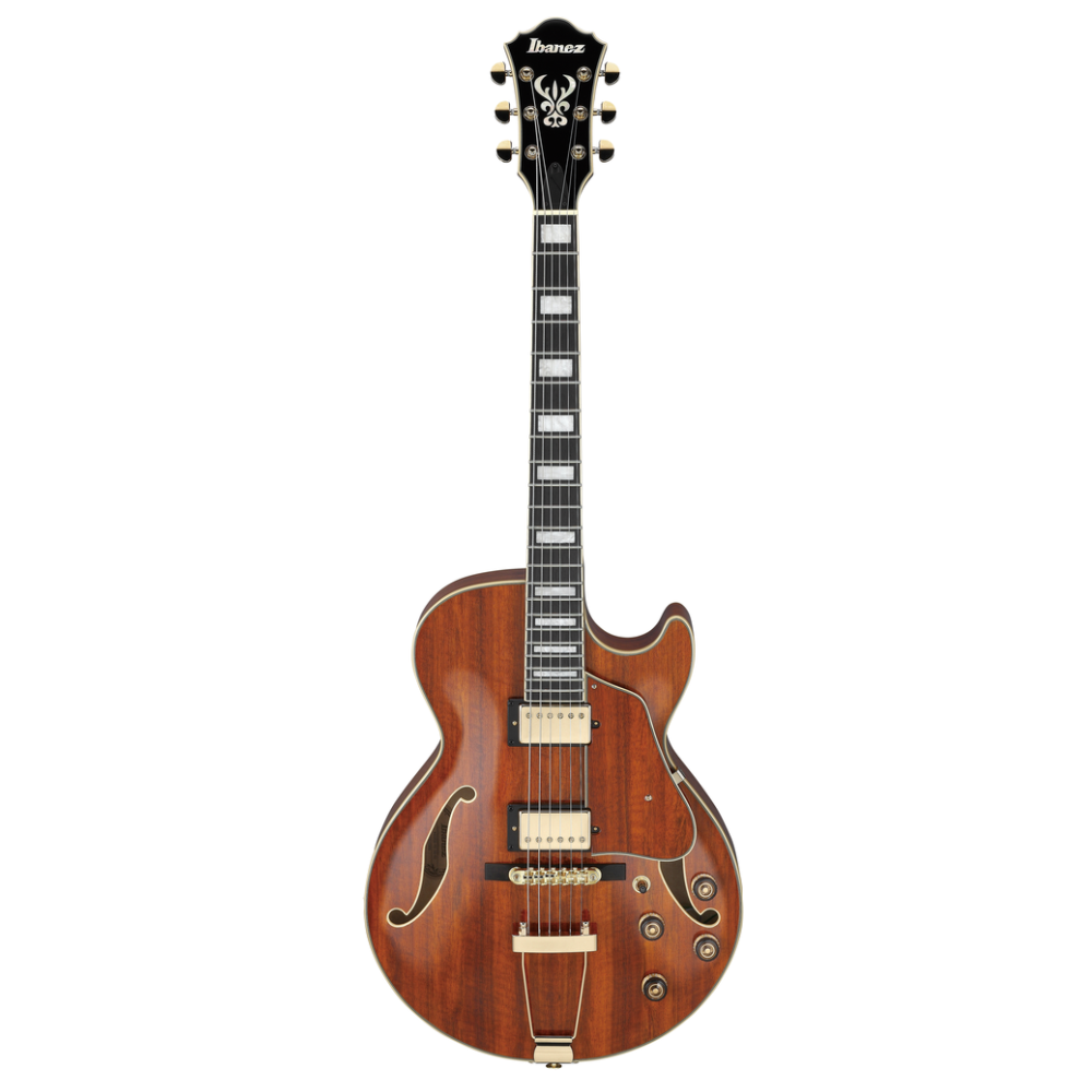 Ibanez Artcore AG95 Electric Guitar in Natural