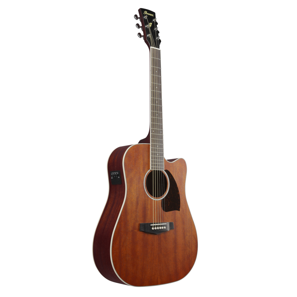 Ibanez PF16MWCE Acoustic Guitar in Open Pore Natural