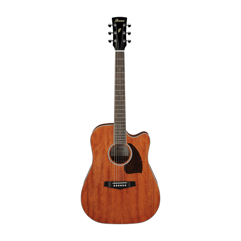 Ibanez PF16MWCE Acoustic Guitar in Open Pore Natural