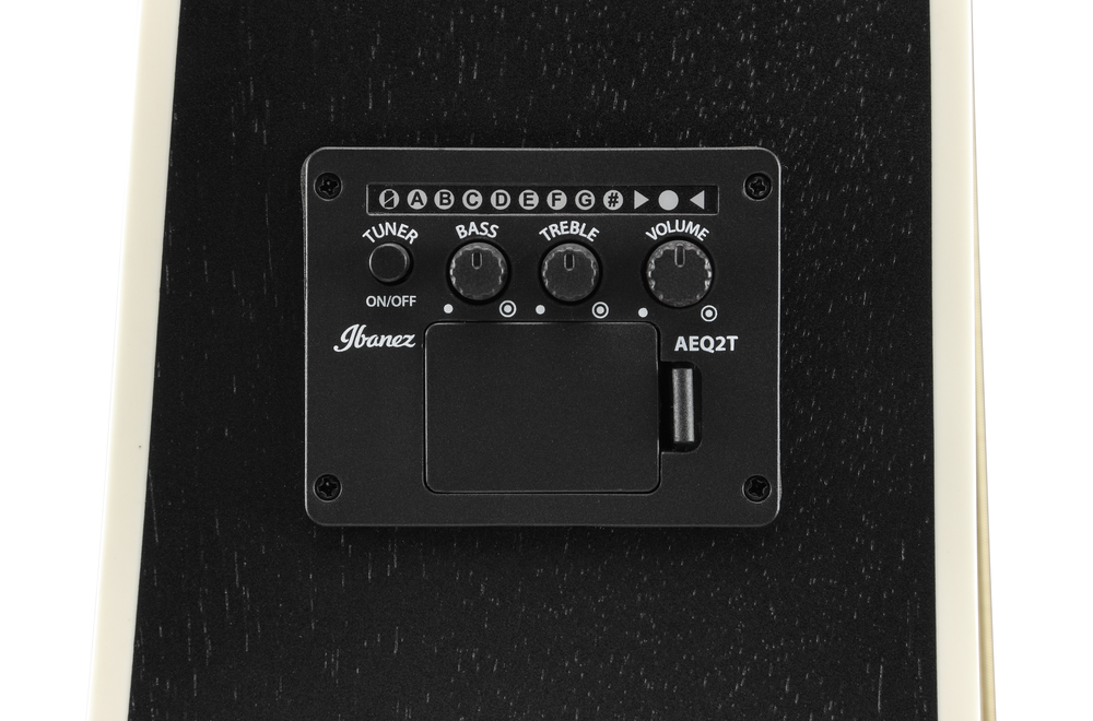 Ibanez PF16MWC Acoustic Guitar in Weathered Black Open Pore