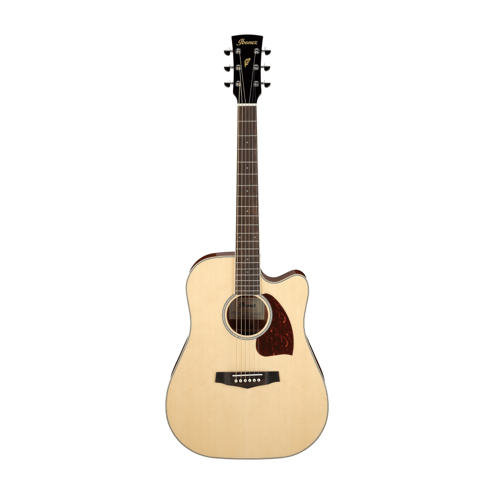 Ibanez PF16WCE Acoustic Guitar in Natural