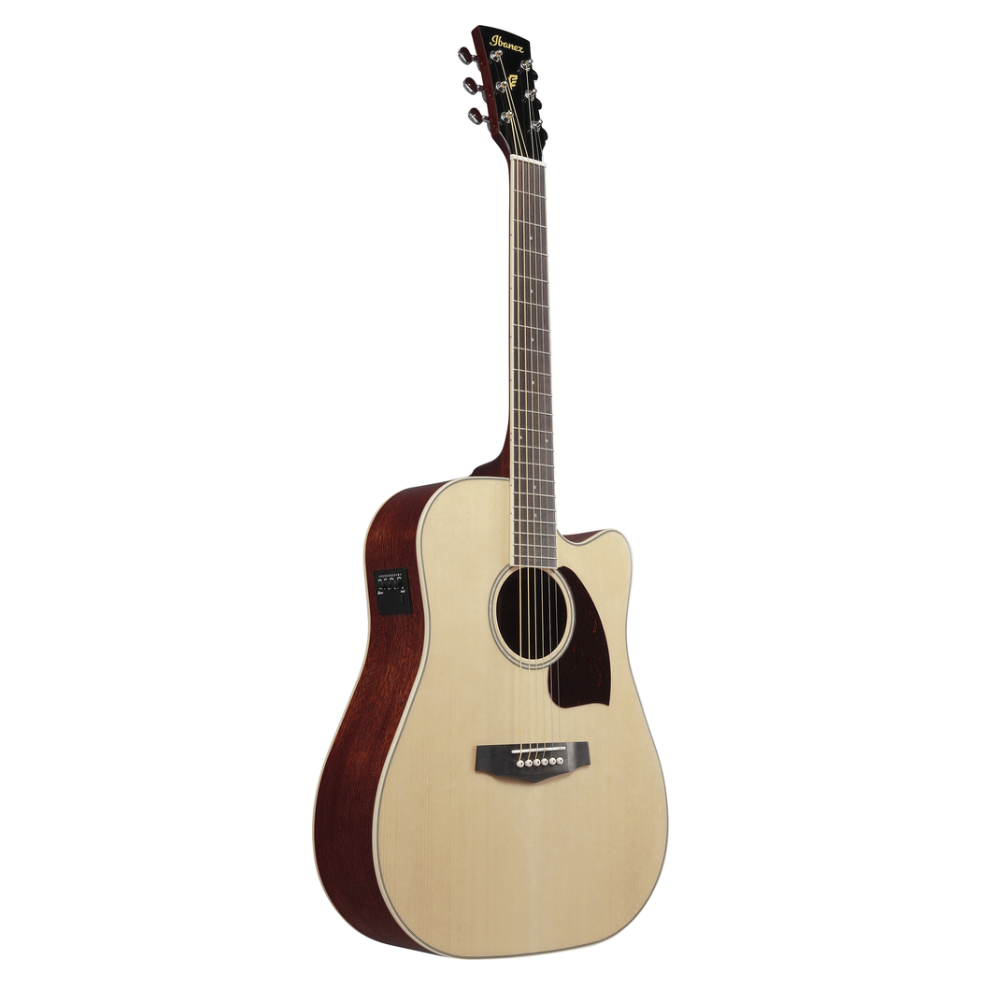 Ibanez PF16WCE Acoustic Guitar in Natural