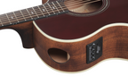 Ibanez AE100 Acoustic Guitar in Burgundy Flat