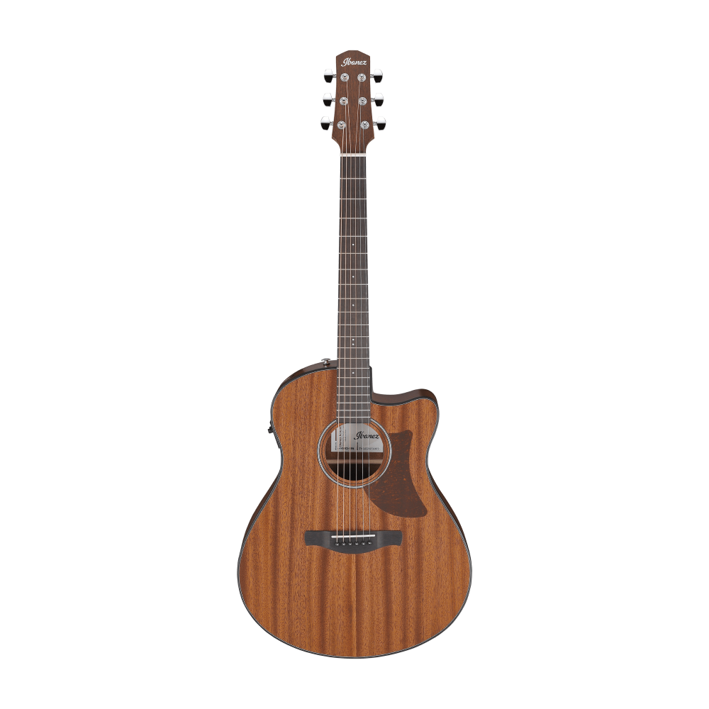 Ibanez AAM54CE Acoustic Guitar in Open Pore Natural