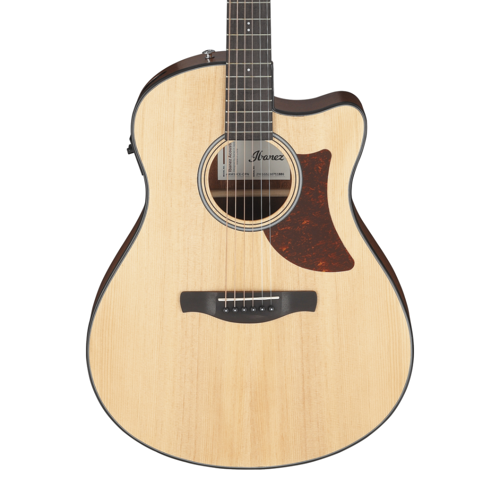 Ibanez AAM50CE Acoustic Guitar in Open Pore Natural