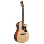 Ibanez AAM50CE Acoustic Guitar in Open Pore Natural