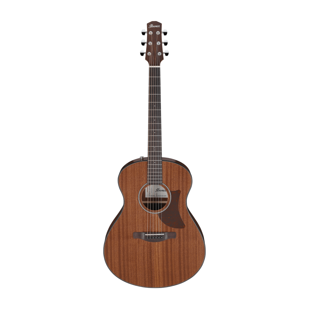 Ibanez AAM54 Acoustic Guitar in Open Pore Natural