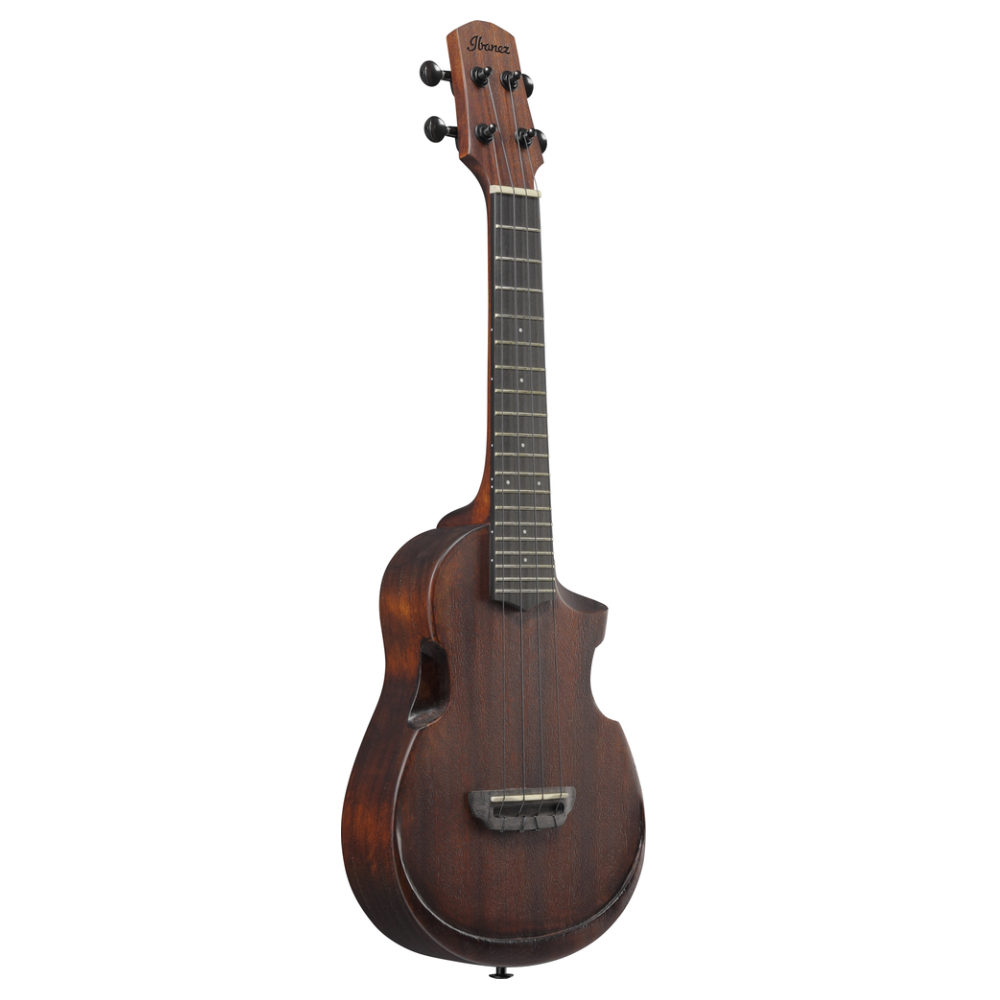 Ibanez AUC14  in Open Pore Violin Sunburst