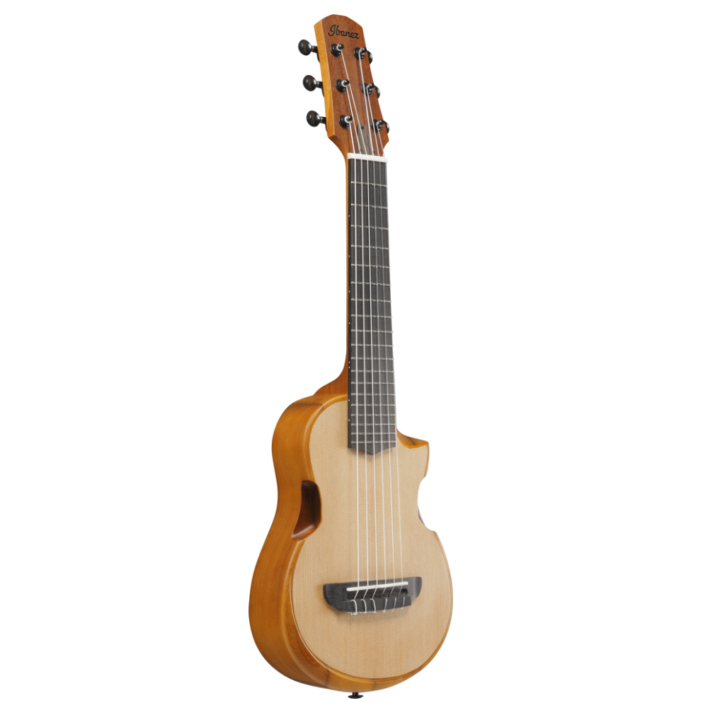 Ibanez AUP10N Ukulele in Open Pore Natural