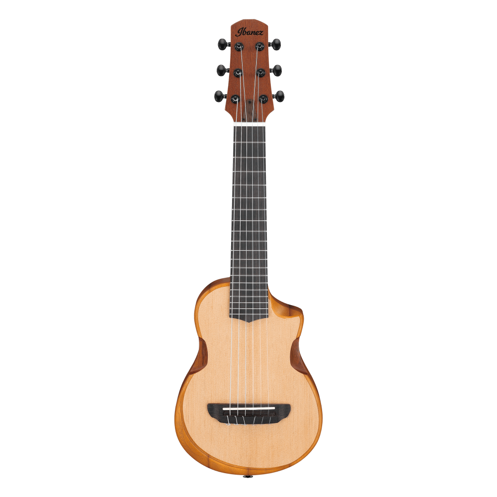 Ibanez AUP10N Ukulele in Open Pore Natural