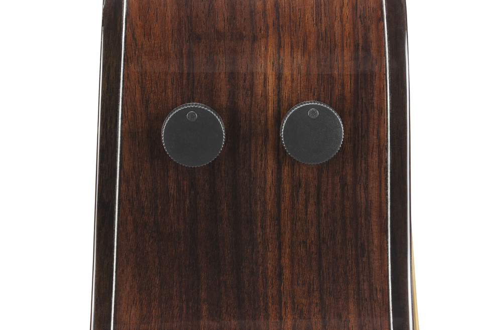 Ibanez AAM380CE Acoustic Guitar in Natural