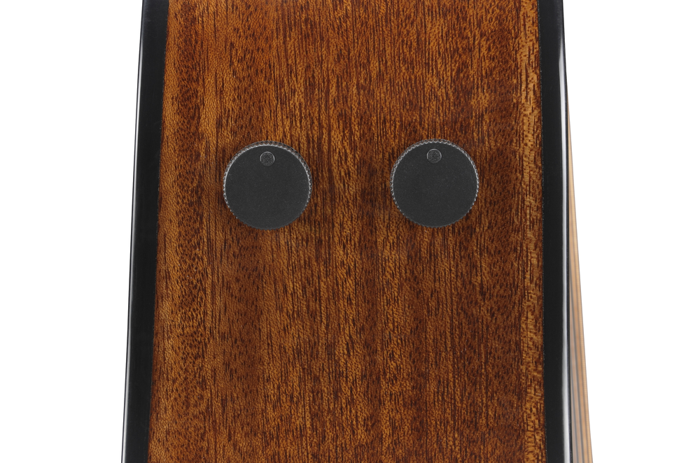 Ibanez AAM300CE Acoustic Guitar in Natural