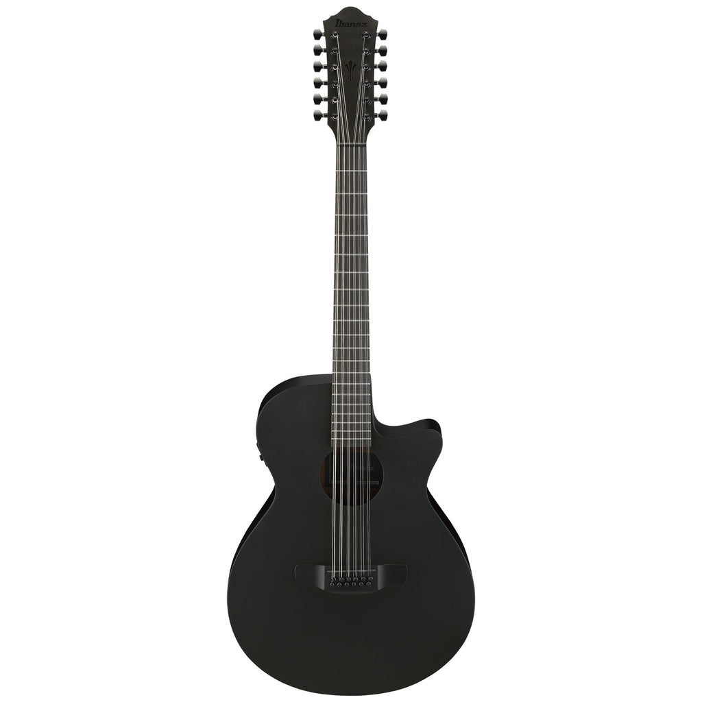 Ibanez AEG1221 Black Out Acoustic Guitar