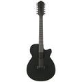 Ibanez AEG1221 Black Out Acoustic Guitar