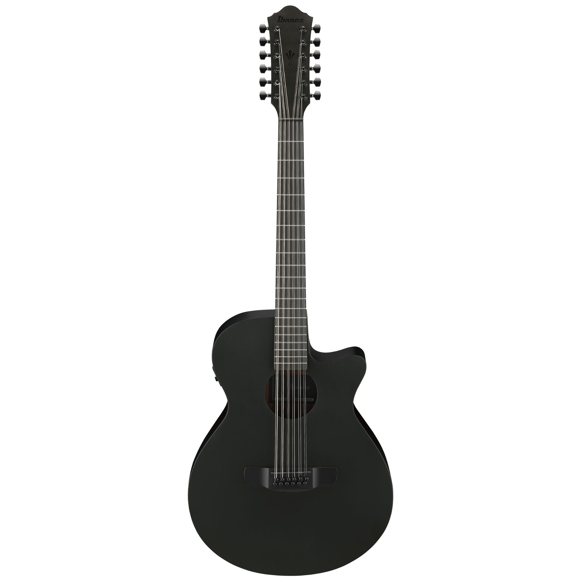 Ibanez AEG1221 Black Out Acoustic Guitar