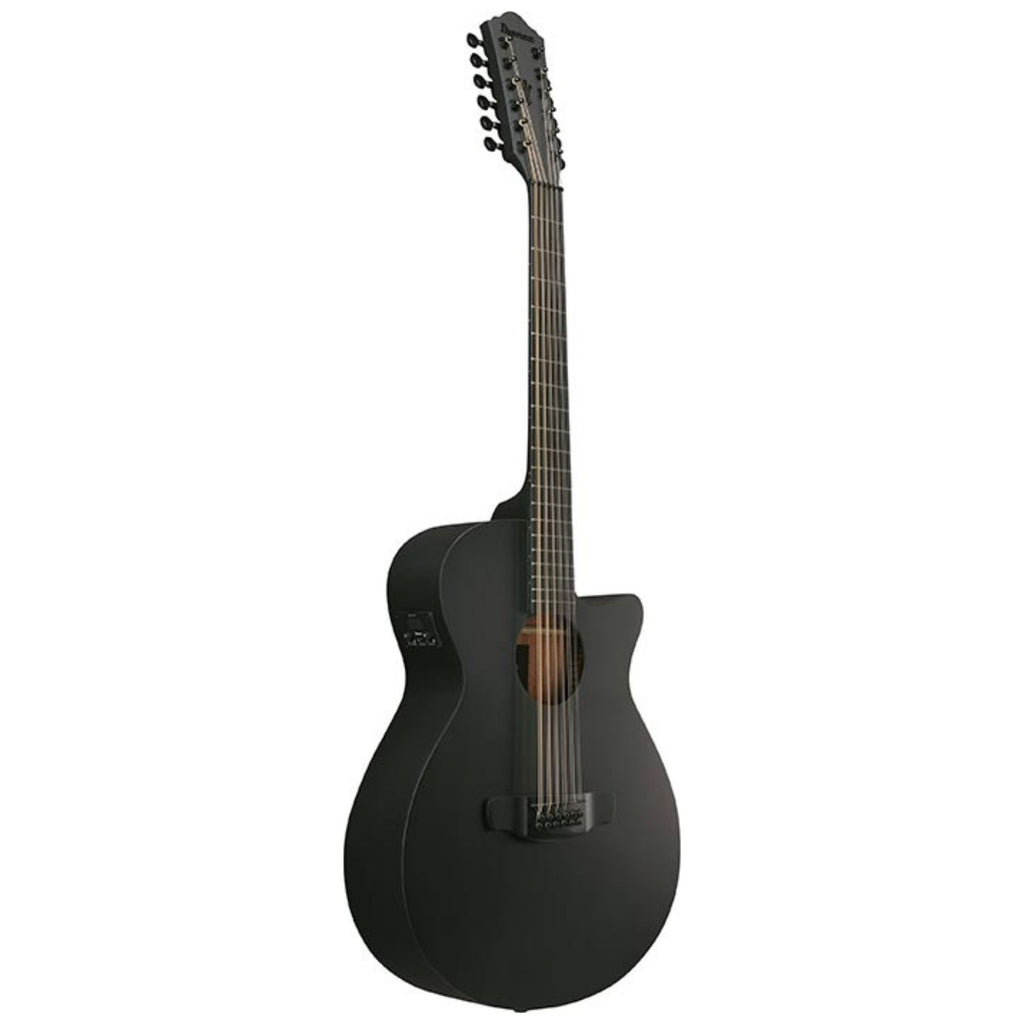 Ibanez AEG1221 Black Out Acoustic Guitar