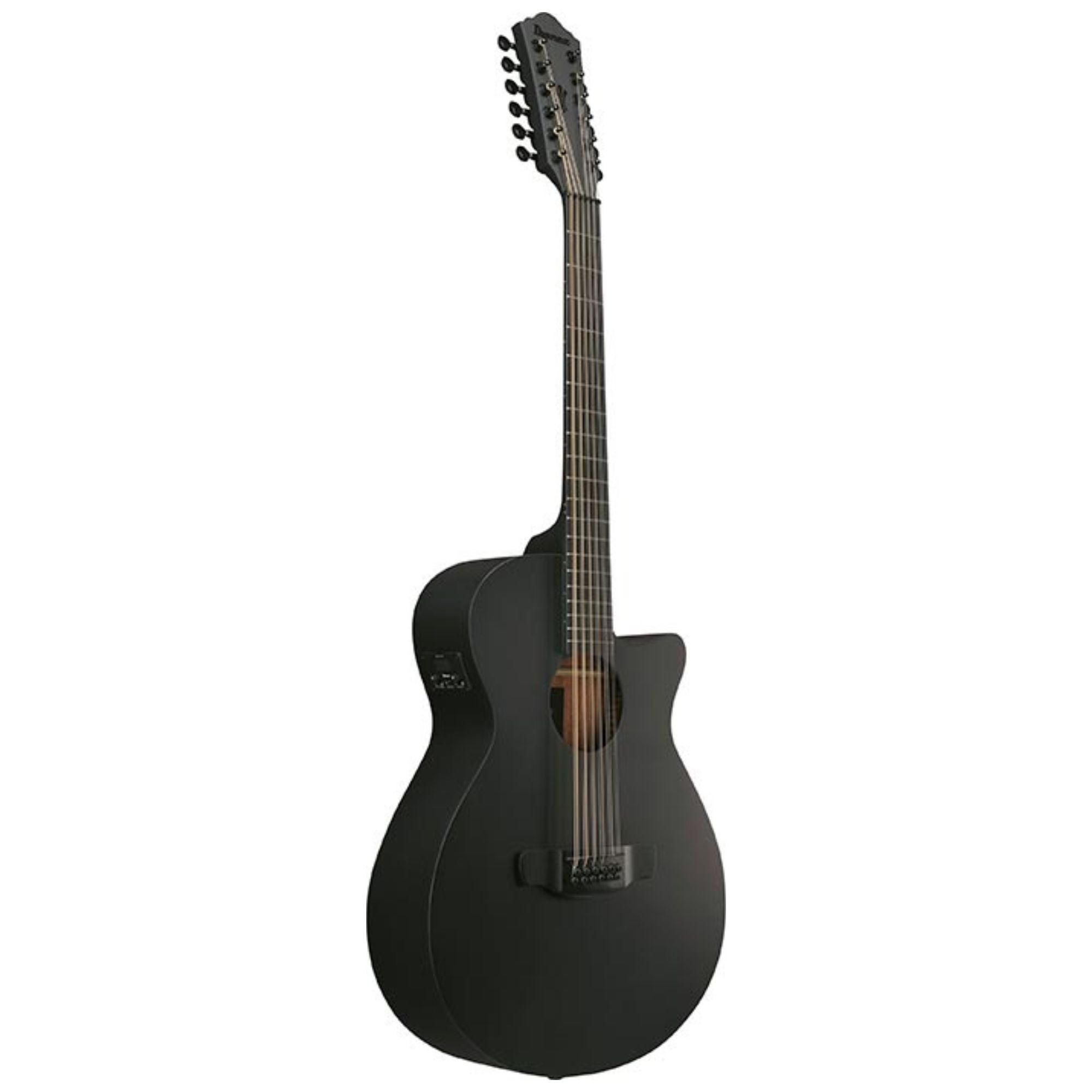 Ibanez AEG1221 Black Out Acoustic Guitar