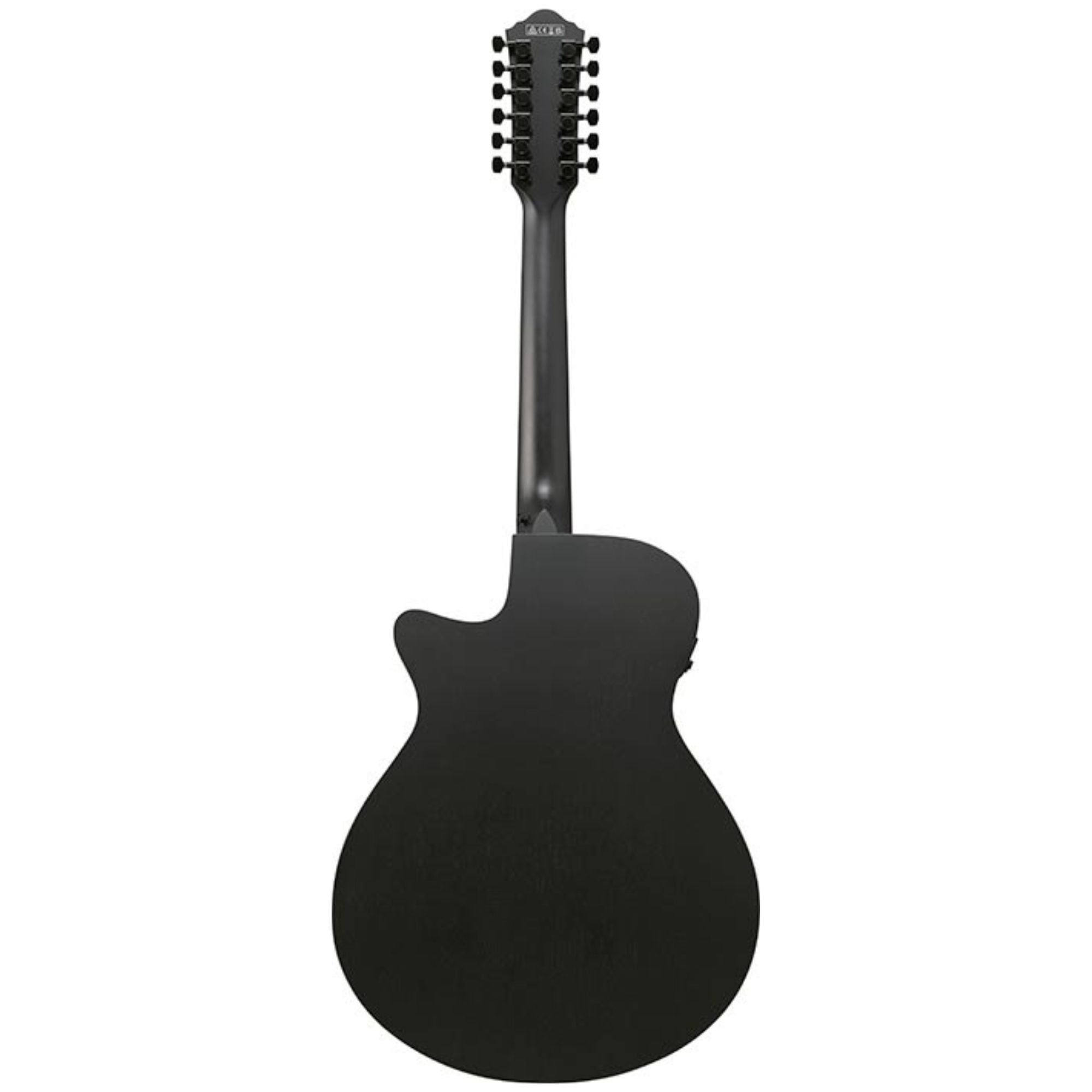 Ibanez AEG1221 Black Out Acoustic Guitar
