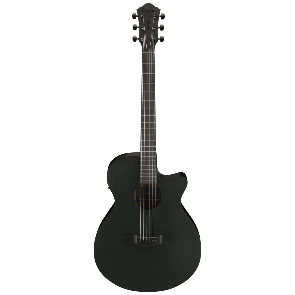 Ibanez AEG621 Black Out Acoustic Guitar