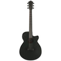 Ibanez AEG621 Black Out Acoustic Guitar