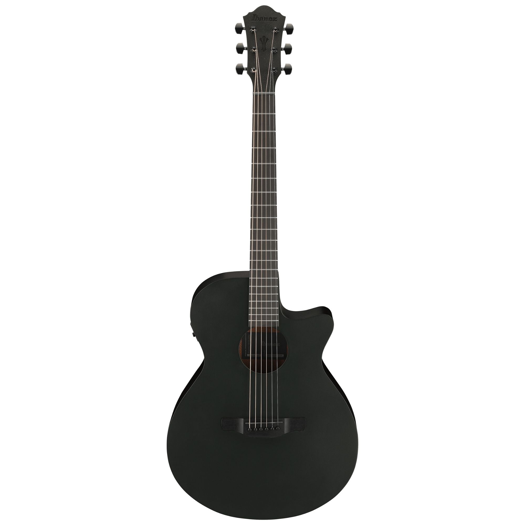 Ibanez AEG621 Black Out Acoustic Guitar