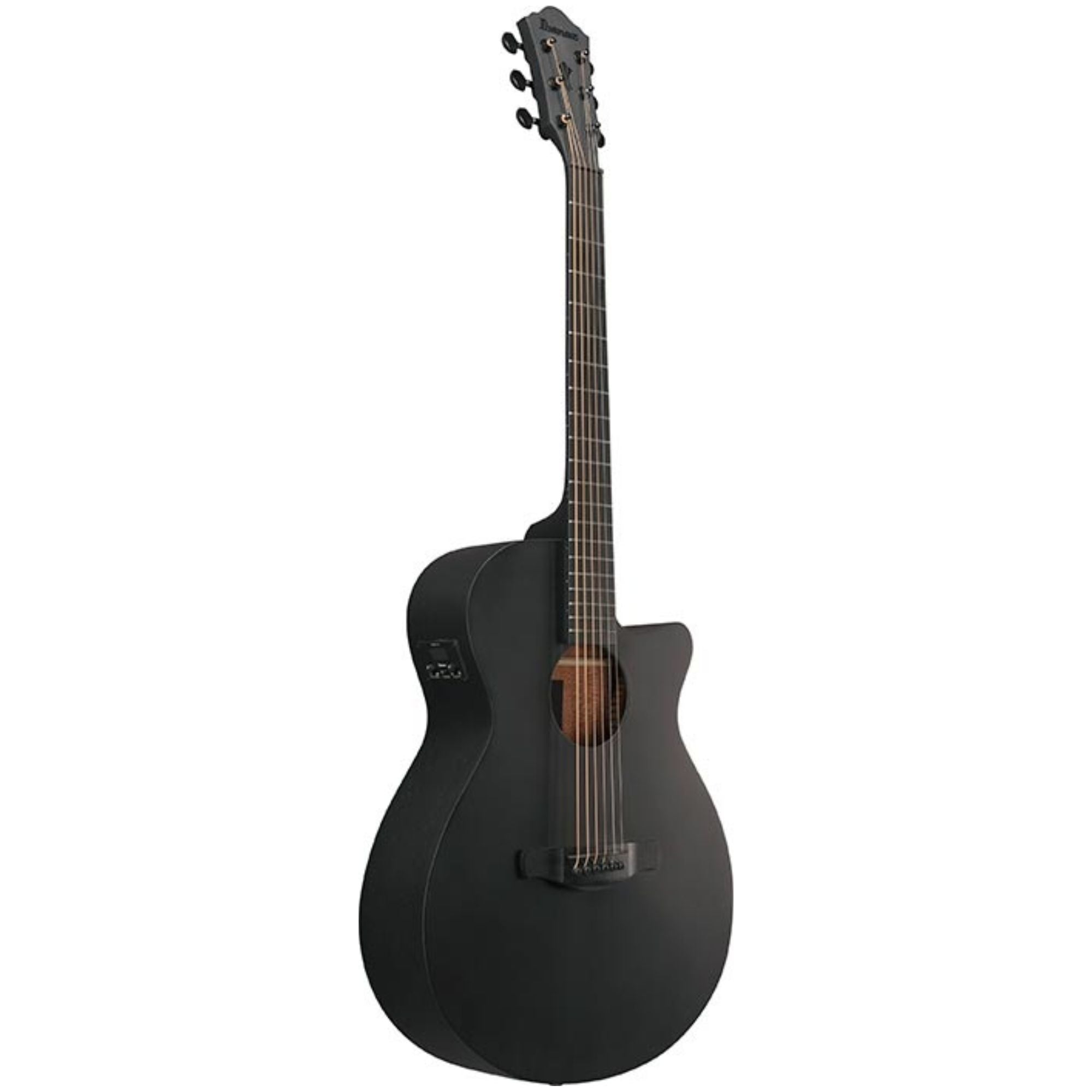 Ibanez AEG621 Black Out Acoustic Guitar