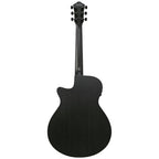 Ibanez AEG621 Black Out Acoustic Guitar