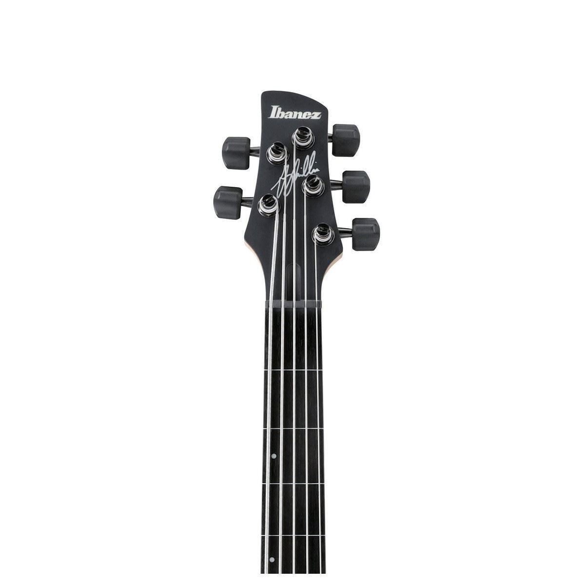 Ibanez GWB35 Gary Willis Signature 5 String Bass Guitar - Fretless - Black Flat