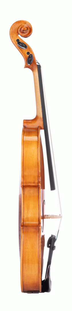 Beale BV112 Violin Standard 1/2 Size Outfit