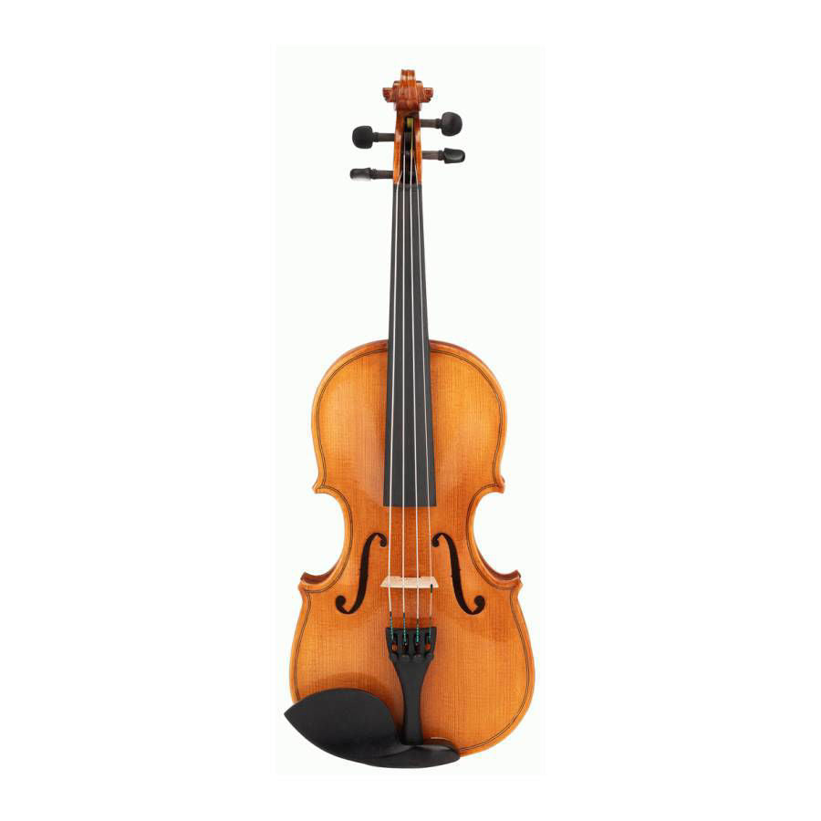 Beale BV114 Violin Standard 1/4 Size Outfit