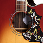 Gibson Hummingbird Standard Rosewood EC Acoustic Guitar - Rosewood Burst