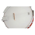 Epiphone MB100 5-String Open Back  Banjo Vintage Satin Brown