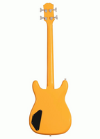Epiphone Newport Electric Bass Guitar - California Coral