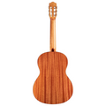 Cordoba Protege C1 Gloss Classical Guitar