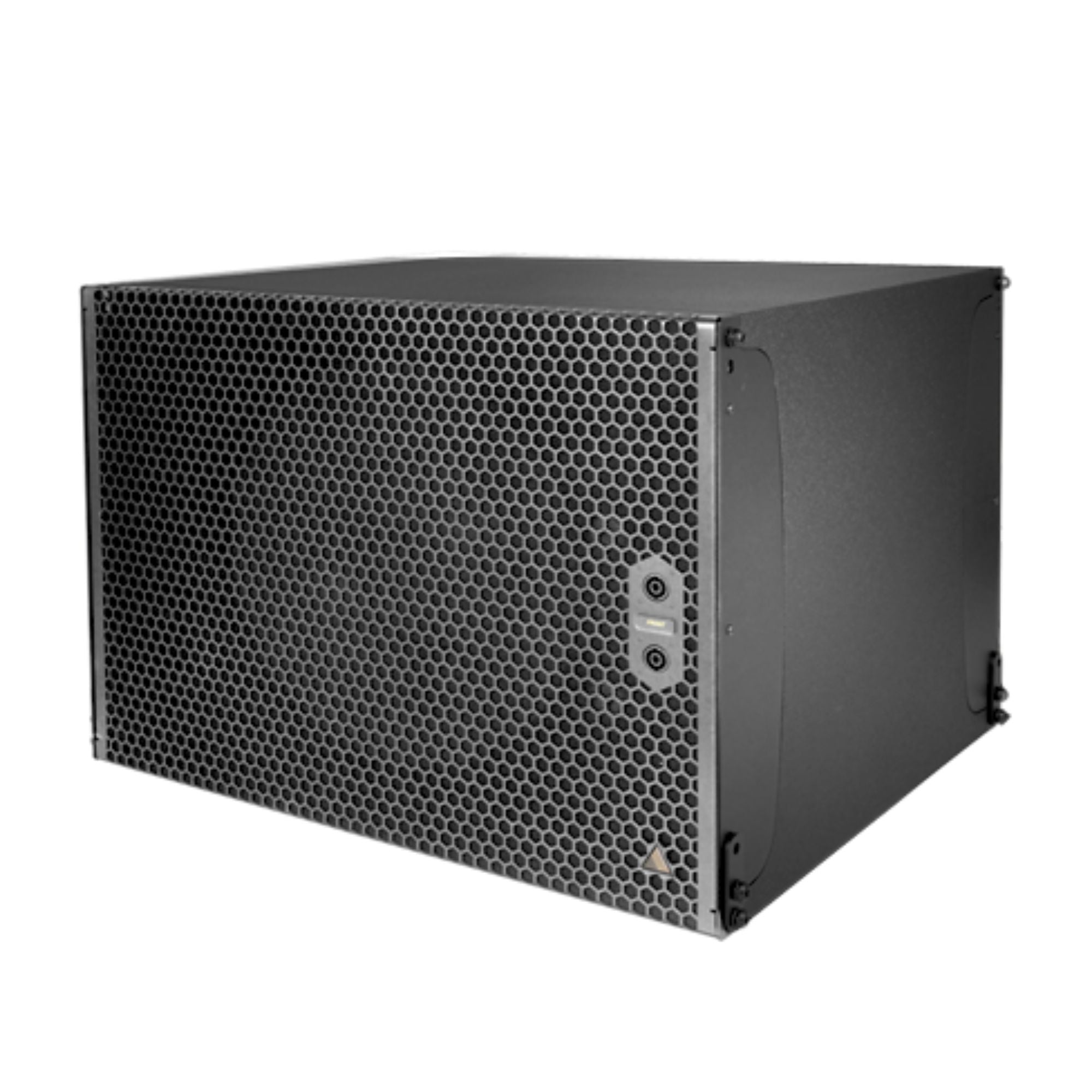 Adamson IS119 Passive Subwoofer