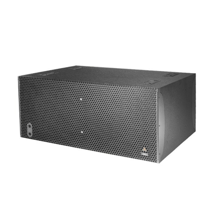 Adamson IS219 Passive Subwoofer