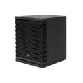 Adamson IS7C Passive Point Source Loudspeaker