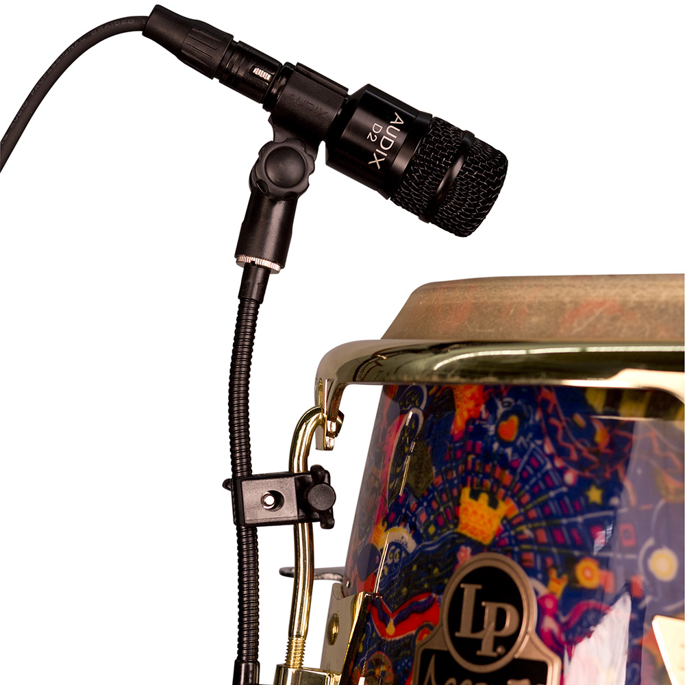 Audix D2 professional dynamic wired instrument microphone with black metal body and grille for live performances.