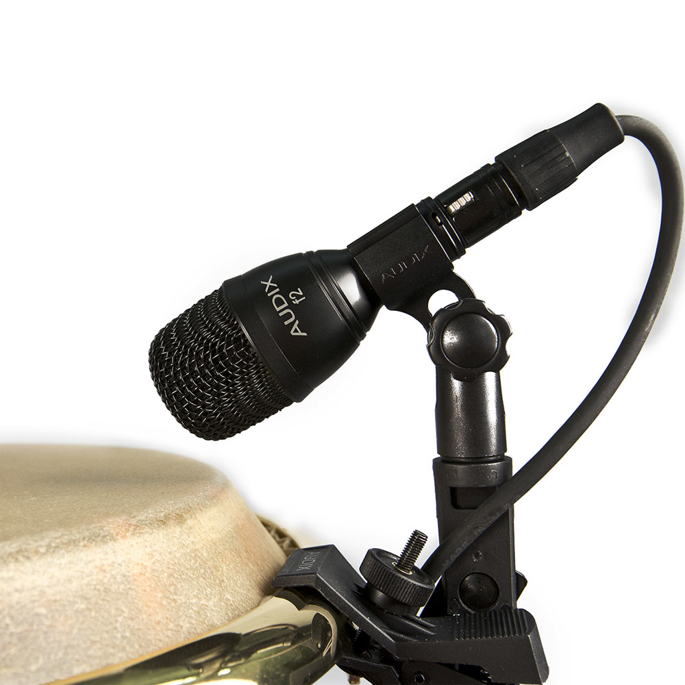 Audix F2 Dynamic Instrument Microphone