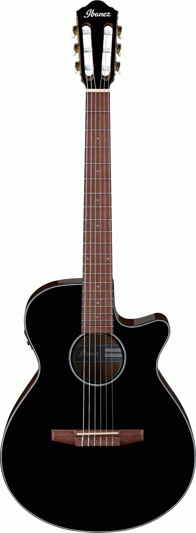 IBANEZ AEG50N BKH NYLON ACOUSTIC GUITAR