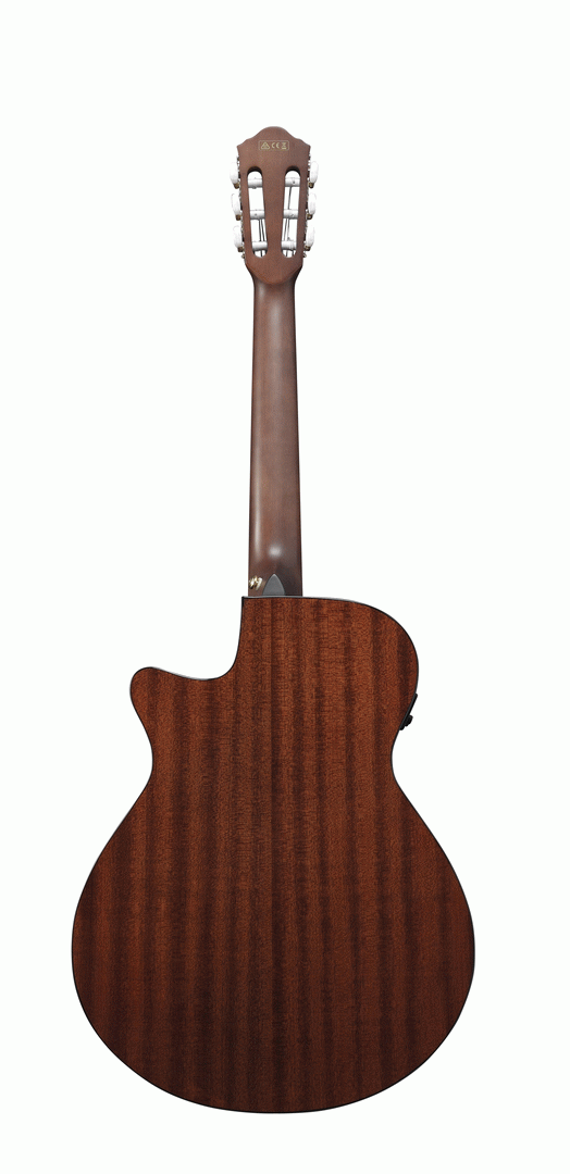 IBANEZ AEG50N BKH NYLON ACOUSTIC GUITAR