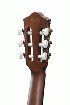 IBANEZ AEG50N BKH NYLON ACOUSTIC GUITAR