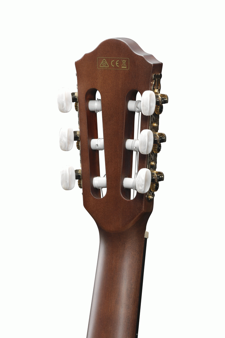 IBANEZ AEG50N BKH NYLON ACOUSTIC GUITAR