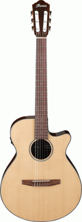 Ibanez AEG50 Classical Guitar in Natural High Gloss