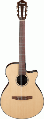 IBANEZ AEG50 NNT NYLON ACOUSTIC GUITAR