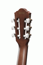 IBANEZ AEG50 NNT NYLON ACOUSTIC GUITAR