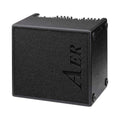 AER Domino 2 Acoustic Guitar Amplifier (100 Watt)