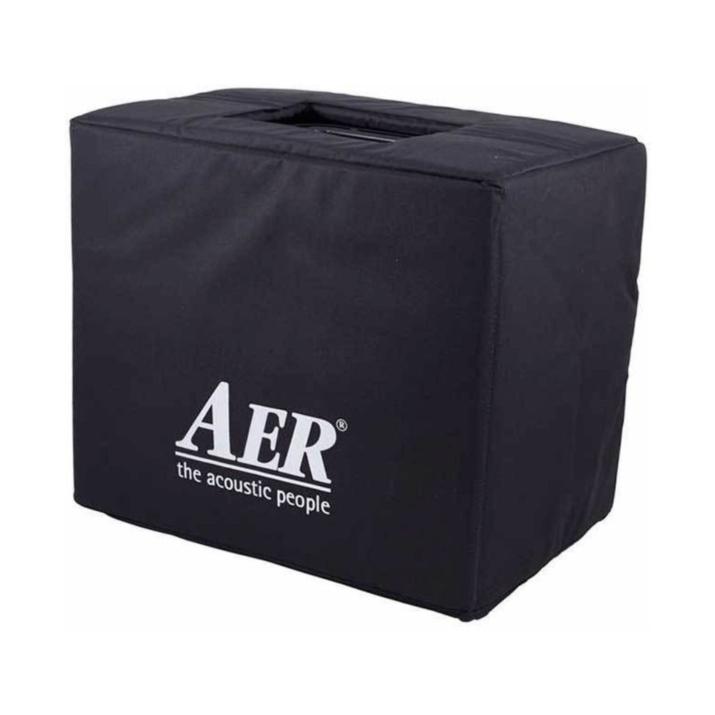 AER Domino 2 100W acoustic guitar amplifier with control knobs and input jacks, compact design, brand logo visible.